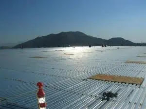 Ross MV Distribution Center Phase V